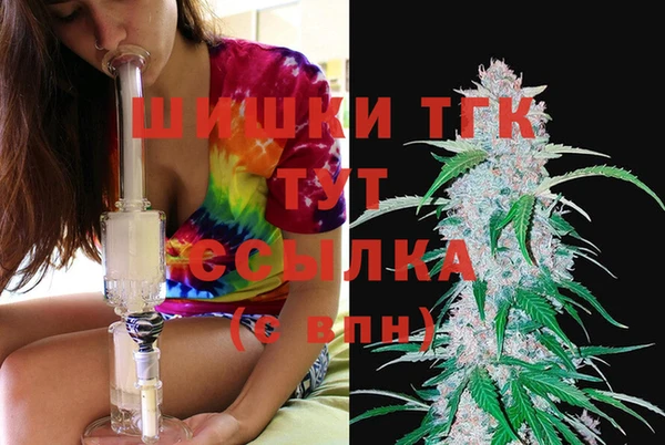 дмт Горнозаводск