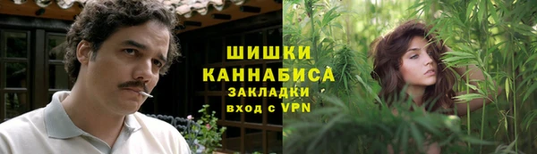 сатива Горняк