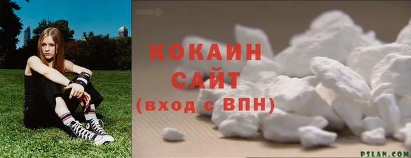 сатива Горняк
