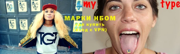 сатива Горняк