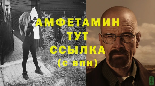 сатива Горняк