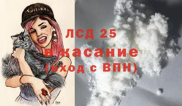 сатива Горняк