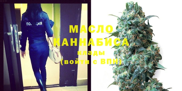 сатива Горняк