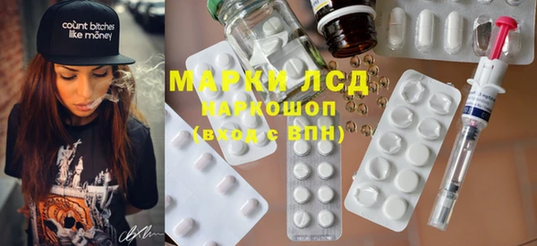 сатива Горняк
