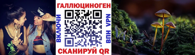 Купить  Черногорск  Галлюциногенные грибы мухоморы 